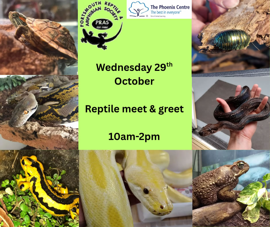 Reptile meet and greet 29th October 10am-2pm – free entry cuddle tokens available to purchase on the day.