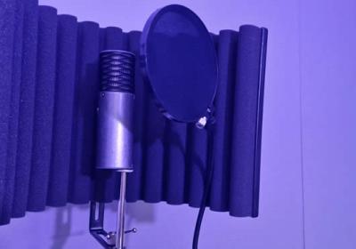 The Phoenix Centre Recording Studio The Phoenix Centre Recording Studio